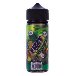 Fizzy Juice 100ml Shortfill - vaperwholesale